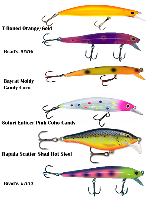 Lake Superior Spring Coho Stickbait Assortment - Marine General